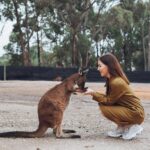 Full body cheerful stylish female in brown dress playing with cute kangaroo and holding kangaroo paws while visiting savanna zoo